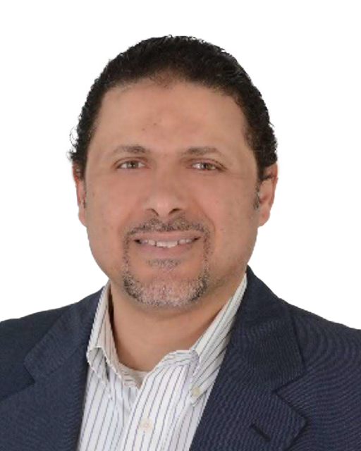 Tarek Taha Ismail